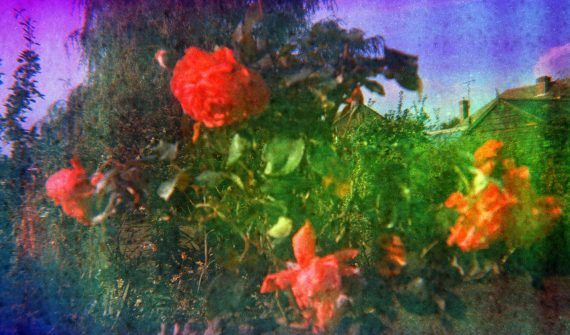 John McDowall 'Of time fermata'